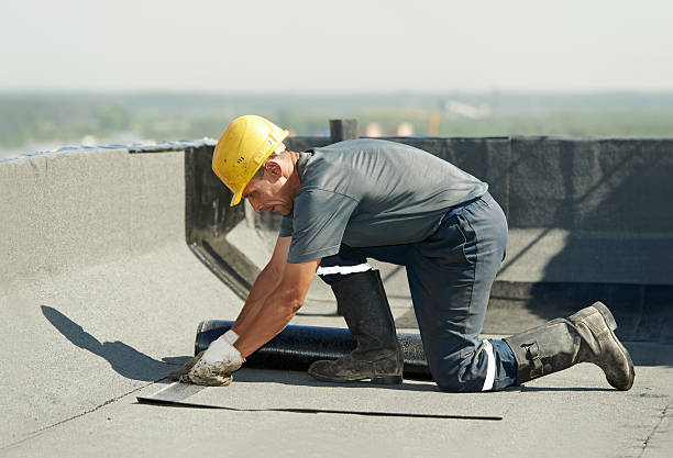 Best Geographic-Specific Insulation Services in Blossom, TX