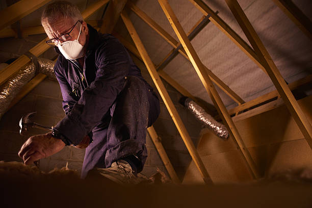 Types of Insulation We Offer in Blossom, TX